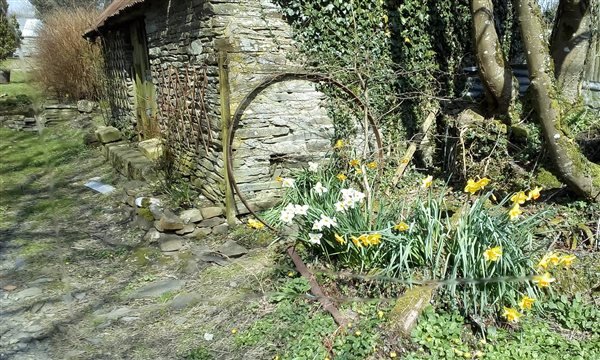 Springtime on the farm